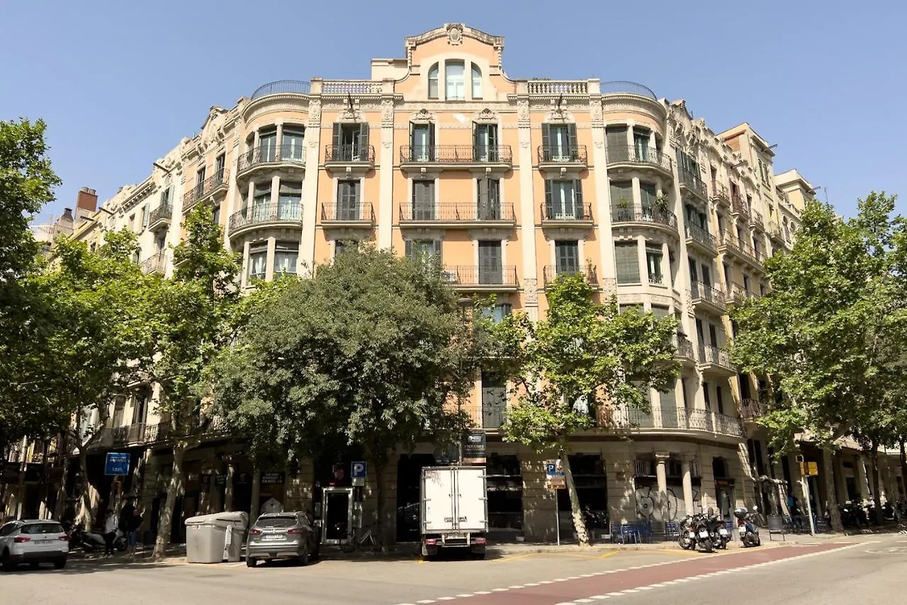 Coimpact Coliving Mallorca contacts