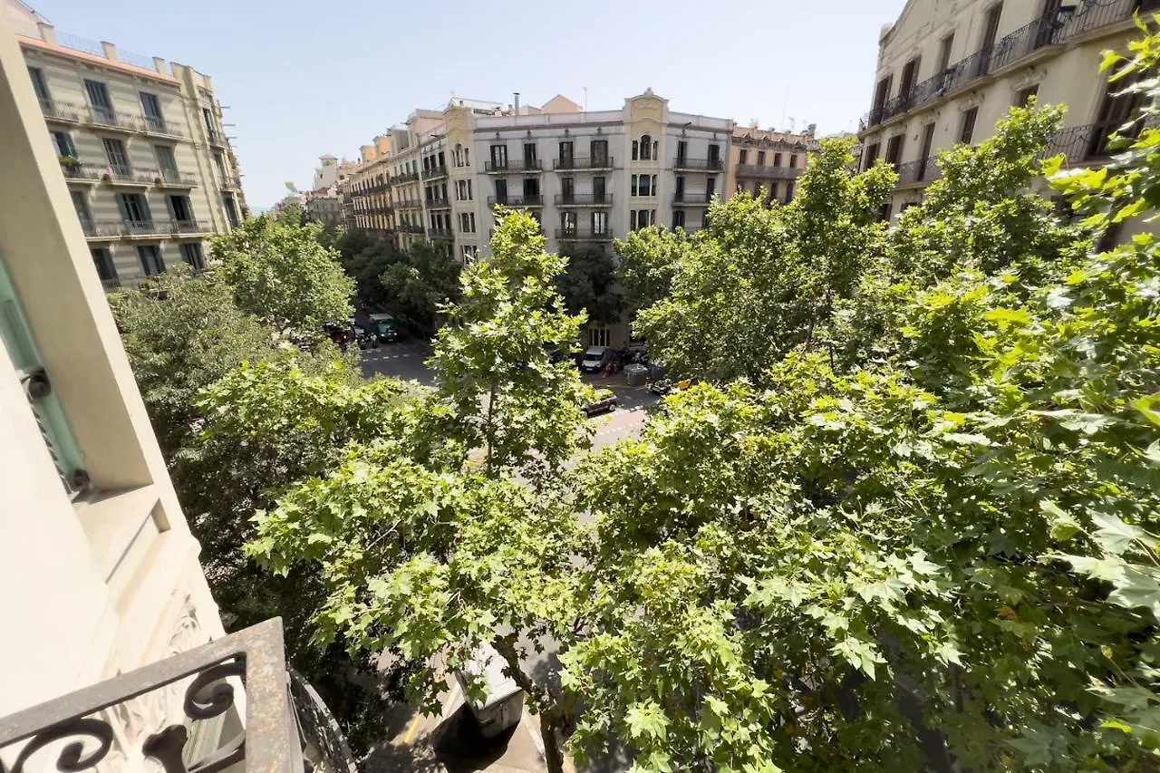 Coimpact Coliving Mallorca Barcelona Hostel