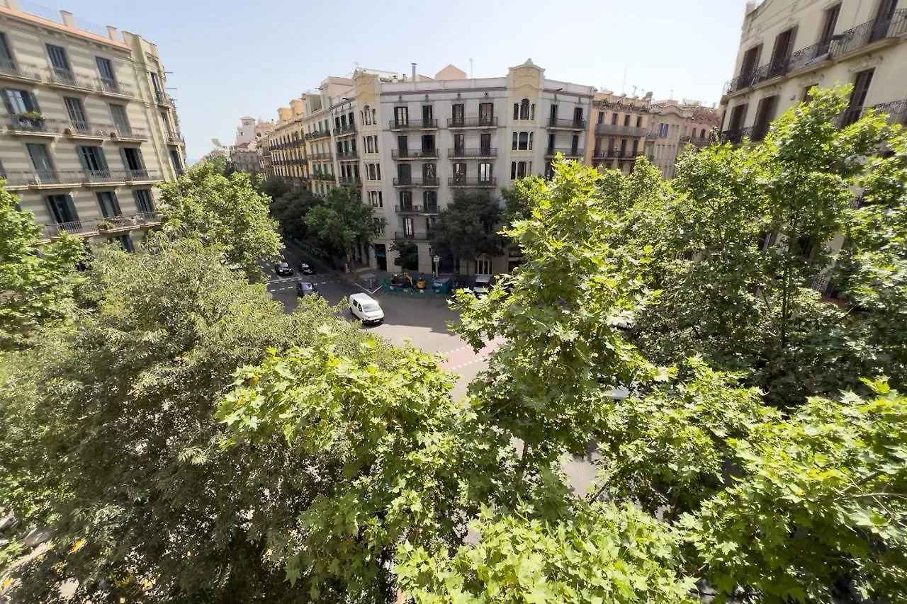 Coimpact Coliving Mallorca Barcelona